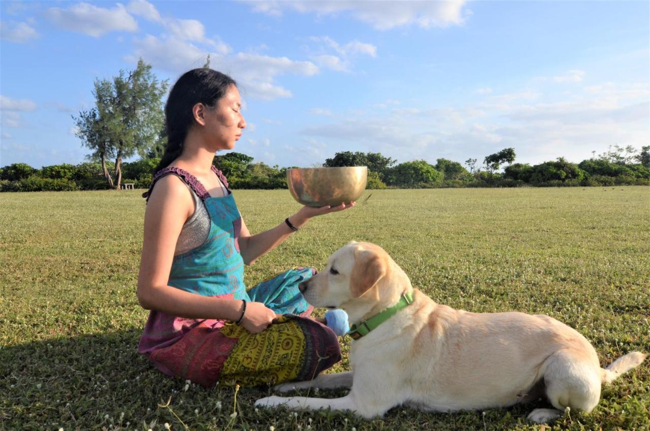 Kenting Comic B&B&Spring Heng-ch'un Екстериор снимка